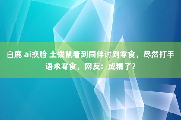 白鹿 ai换脸 土拨鼠看到同伴讨到零食，尽然打手语求零食，网友：成精了？