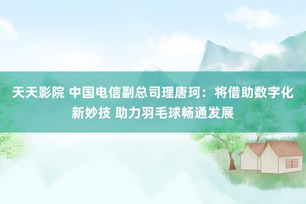 天天影院 中国电信副总司理唐珂：将借助数字化新妙技 助力羽毛球畅通发展