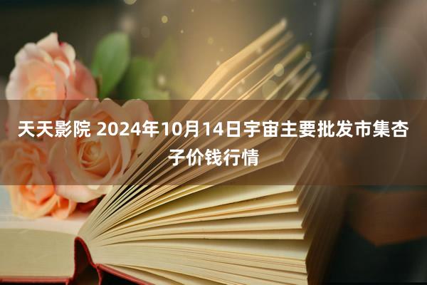 天天影院 2024年10月14日宇宙主要批发市集杏子价钱行情