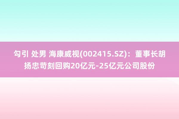 勾引 处男 海康威视(002415.SZ)：董事长胡扬忠苛刻回购20亿元-25亿元公司股份