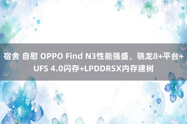 宿舍 自慰 OPPO Find N3性能强盛，骁龙8+平台+UFS 4.0闪存+LPDDR5X内存建树