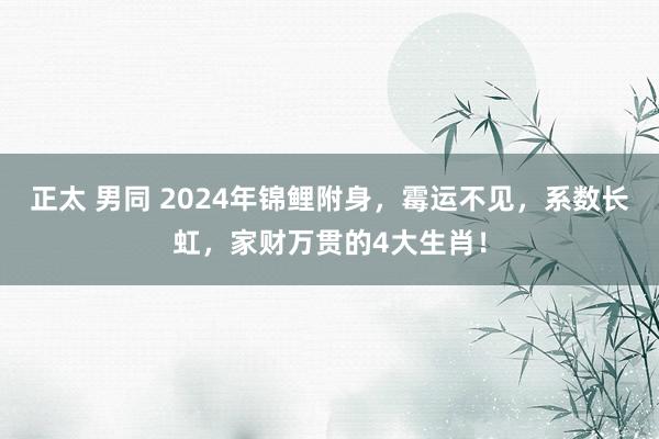 正太 男同 2024年锦鲤附身，霉运不见，系数长虹，家财万贯的4大生肖！