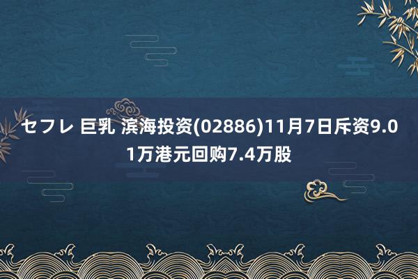 セフレ 巨乳 滨海投资(02886)11月7日斥资9.01万港元回购7.4万股