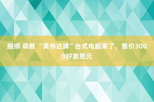 捆绑 调教 “英伟达牌”台式电脑来了，售价3000好意思元