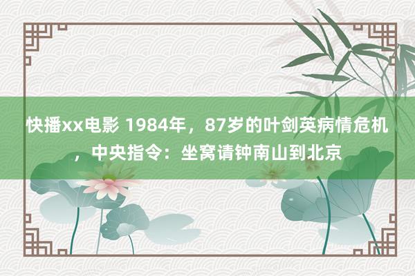 快播xx电影 1984年，87岁的叶剑英病情危机，中央指令：坐窝请钟南山到北京