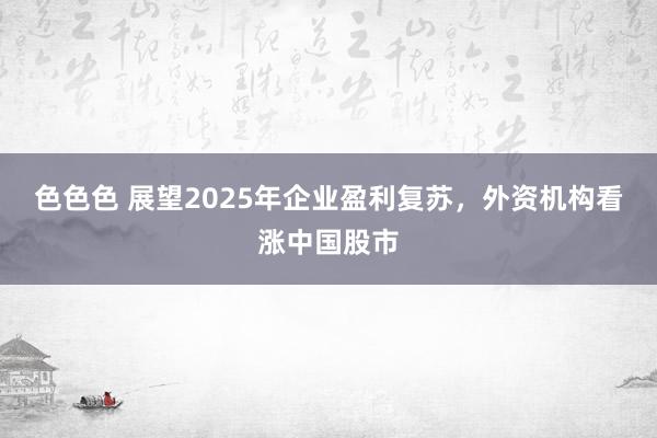 色色色 展望2025年企业盈利复苏，外资机构看涨中国股市