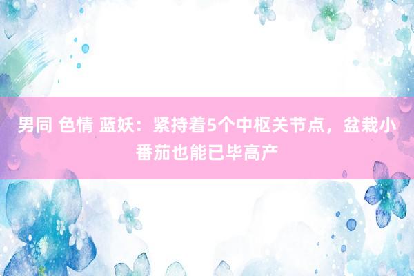 男同 色情 蓝妖：紧持着5个中枢关节点，盆栽小番茄也能已毕高产